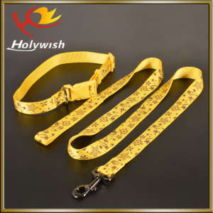 Fashion Design Nylon Dog Collar with Custom Buckle