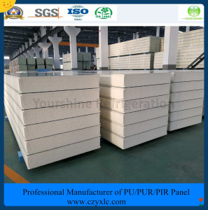 100mm Plugging Sandwich Panel for Meat/ Vegetables/ Fruit